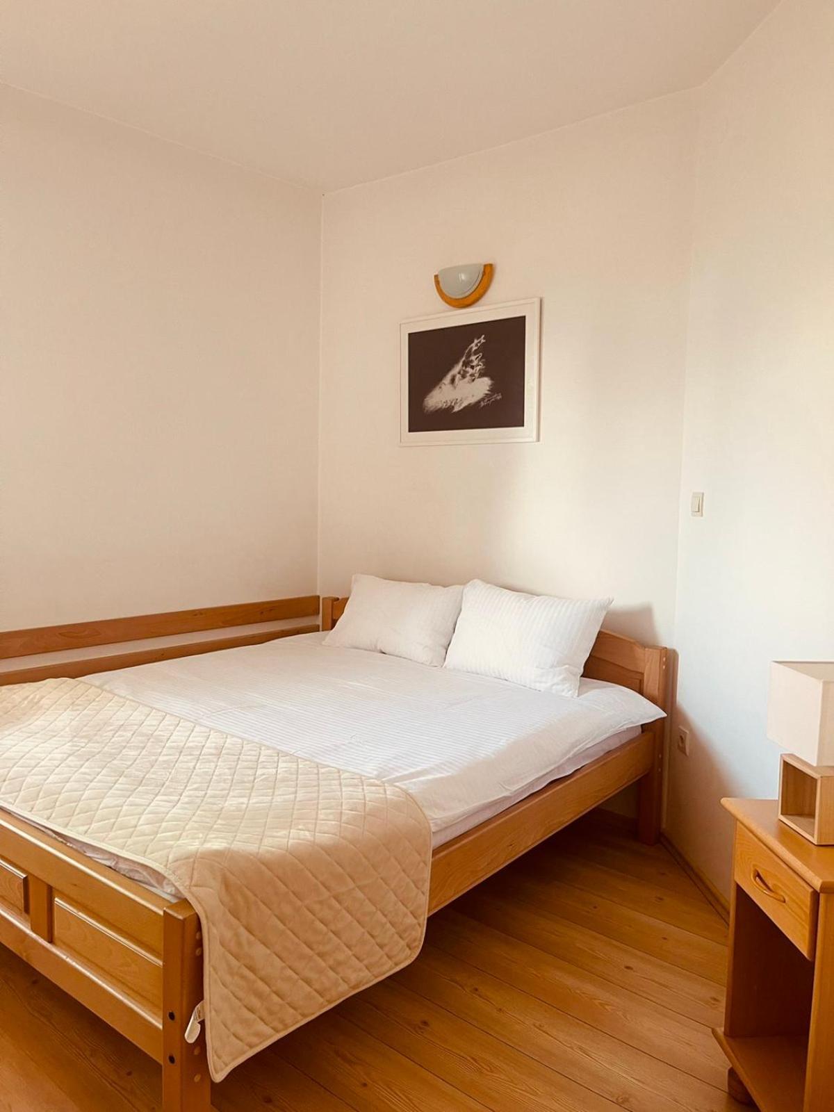 Hill Durmitor Apartment Zabljak  Exterior photo